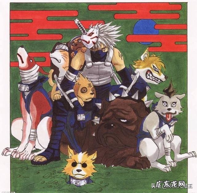 《火影忍者》中旗木卡卡西的通灵兽“八忍犬”一直很神秘，它们有什么特殊能力呐？