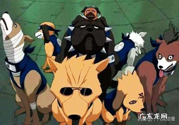 《火影忍者》中旗木卡卡西的通灵兽“八忍犬”一直很神秘，它们有什么特殊能力呐？