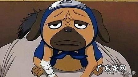 《火影忍者》中旗木卡卡西的通灵兽“八忍犬”一直很神秘，它们有什么特殊能力呐？