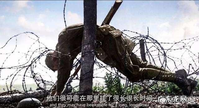 二战时一场战役双方死亡人数会达到几万甚至几十万,他们的尸体是如何处理的?