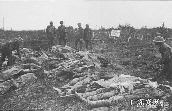 二战时一场战役双方死亡人数会达到几万甚至几十万,他们的尸体是如何处理的?