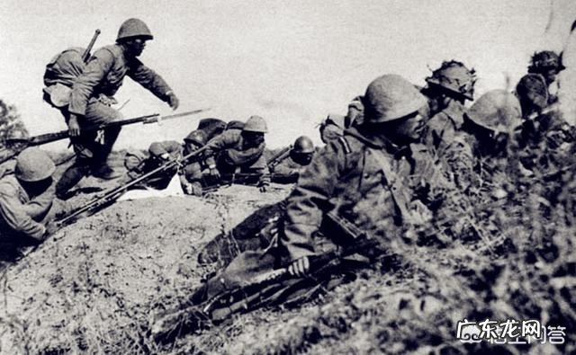 二战时一场战役双方死亡人数会达到几万甚至几十万,他们的尸体是如何处理的?
