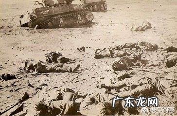 二战时一场战役双方死亡人数会达到几万甚至几十万,他们的尸体是如何处理的?