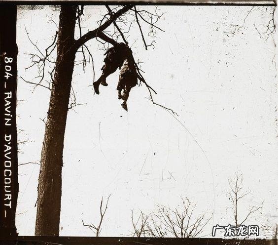 二战时一场战役双方死亡人数会达到几万甚至几十万,他们的尸体是如何处理的?