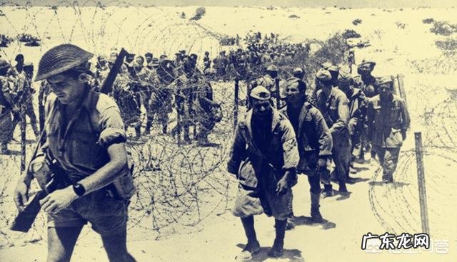 二战时一场战役双方死亡人数会达到几万甚至几十万,他们的尸体是如何处理的?