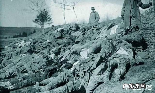 二战时一场战役双方死亡人数会达到几万甚至几十万,他们的尸体是如何处理的?