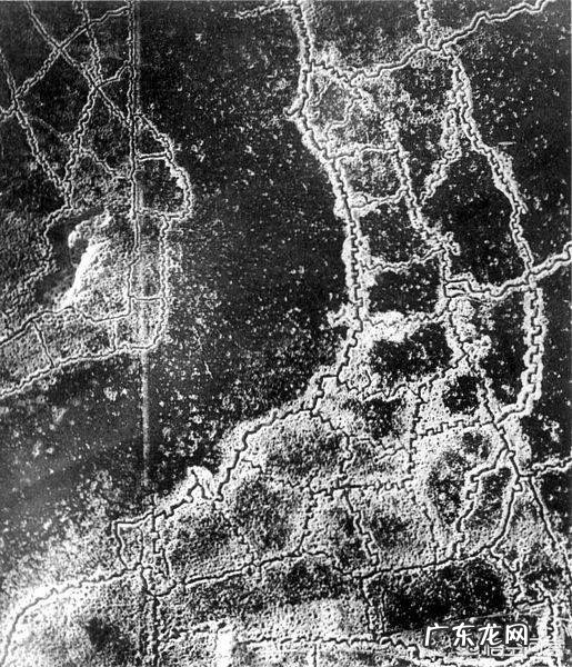 二战时一场战役双方死亡人数会达到几万甚至几十万,他们的尸体是如何处理的?