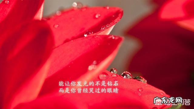 有哪些精辟到噎死人的生活感悟和经典句子分享?