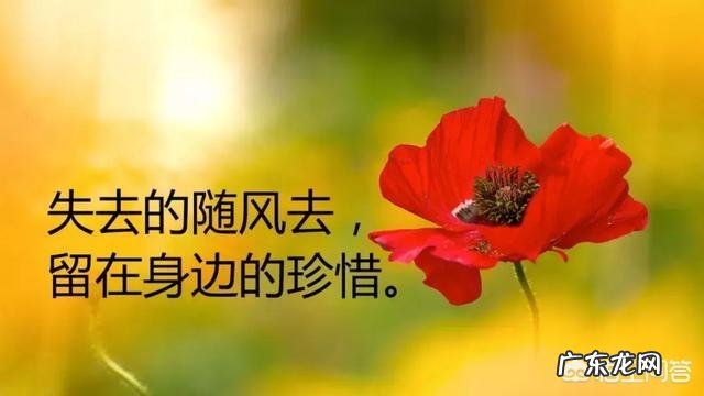 有哪些精辟到噎死人的生活感悟和经典句子分享?