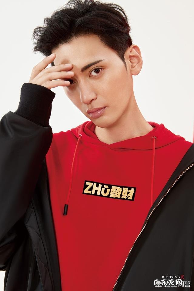 鸡年可以说鸡年大吉,那么猪年,鼠年,狗年有什么好的祝福词吗?