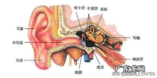 为什么坐飞机时会耳痛?
