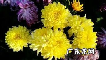 关于国庆节的诗歌有哪些 有关于国庆节的诗歌