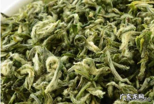 一斤茶有多少泡,怎么挑选茶叶?