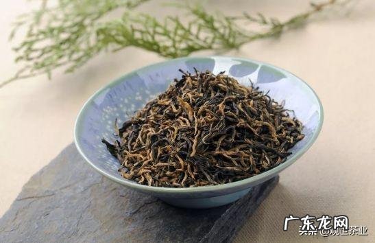 一斤茶有多少泡,怎么挑选茶叶?