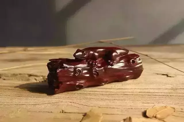 海螺摆件有什么讲究吗 海螺摆件有什么风水作用吗