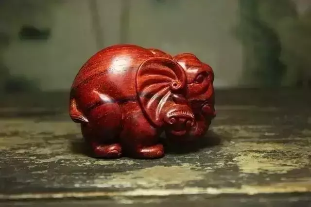 海螺摆件有什么讲究吗 海螺摆件有什么风水作用吗