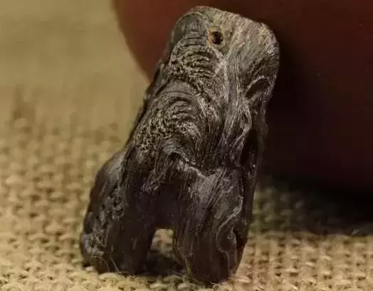 海螺摆件有什么讲究吗 海螺摆件有什么风水作用吗