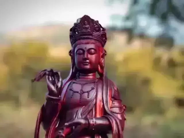 海螺摆件有什么讲究吗 海螺摆件有什么风水作用吗