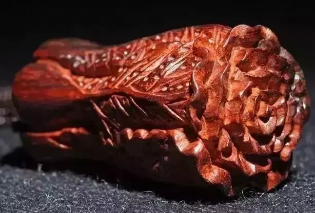 海螺摆件有什么讲究吗 海螺摆件有什么风水作用吗