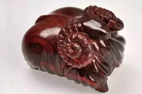 海螺摆件有什么讲究吗 海螺摆件有什么风水作用吗