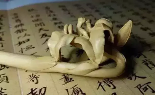 海螺摆件有什么讲究吗 海螺摆件有什么风水作用吗