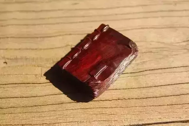 海螺摆件有什么讲究吗 海螺摆件有什么风水作用吗