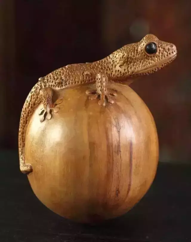 海螺摆件有什么讲究吗 海螺摆件有什么风水作用吗