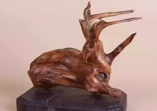 海螺摆件有什么讲究吗 海螺摆件有什么风水作用吗