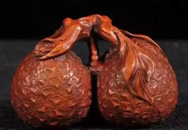 海螺摆件有什么讲究吗 海螺摆件有什么风水作用吗