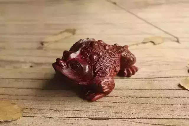 海螺摆件有什么讲究吗 海螺摆件有什么风水作用吗