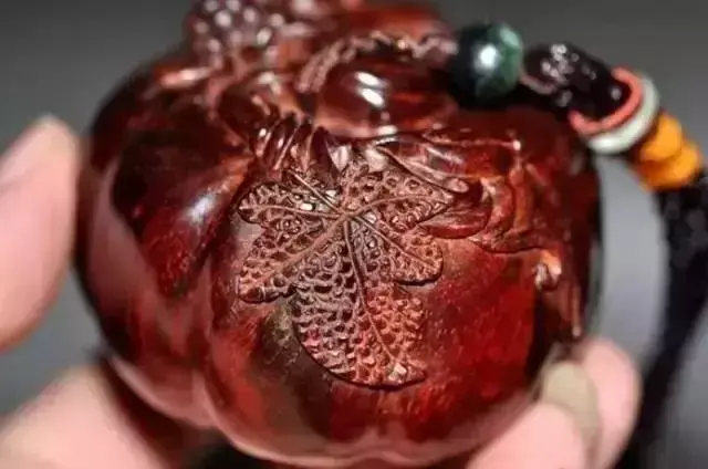 海螺摆件有什么讲究吗 海螺摆件有什么风水作用吗