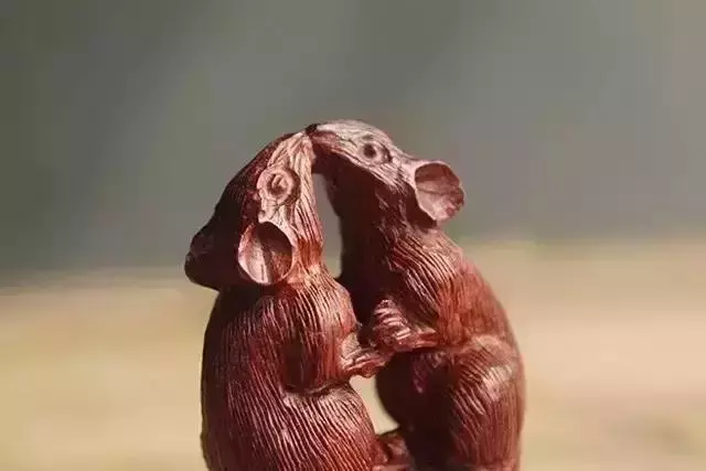 海螺摆件有什么讲究吗 海螺摆件有什么风水作用吗