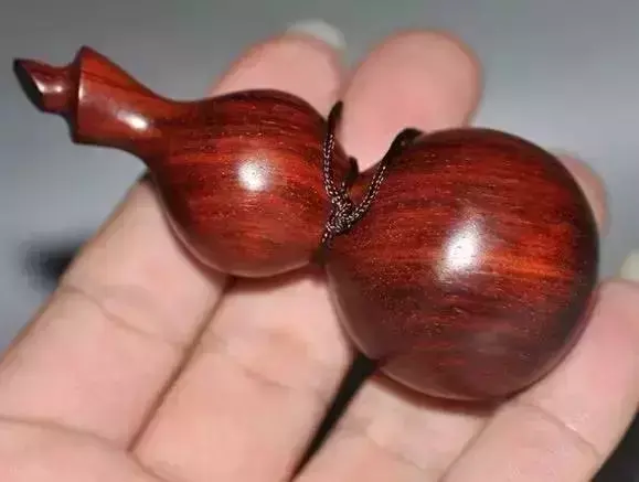 海螺摆件有什么讲究吗 海螺摆件有什么风水作用吗