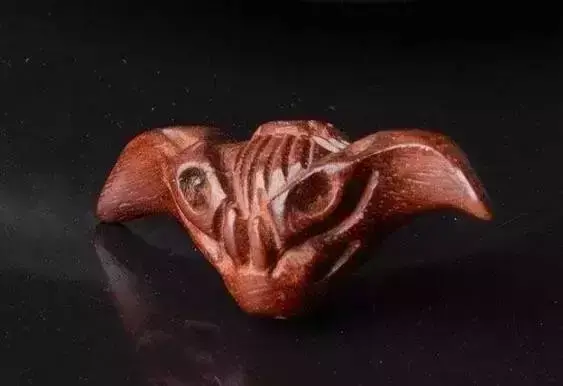 海螺摆件有什么讲究吗 海螺摆件有什么风水作用吗