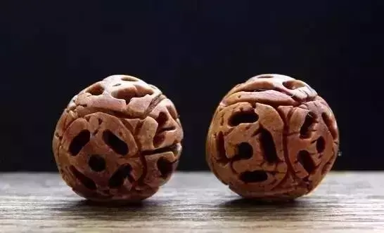 海螺摆件有什么讲究吗 海螺摆件有什么风水作用吗