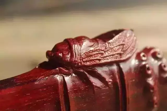 海螺摆件有什么讲究吗 海螺摆件有什么风水作用吗