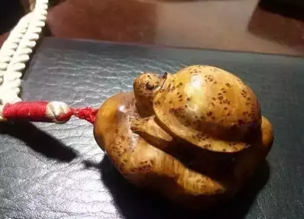 海螺摆件有什么讲究吗 海螺摆件有什么风水作用吗