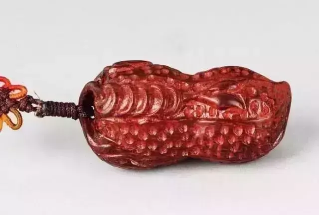 海螺摆件有什么讲究吗 海螺摆件有什么风水作用吗