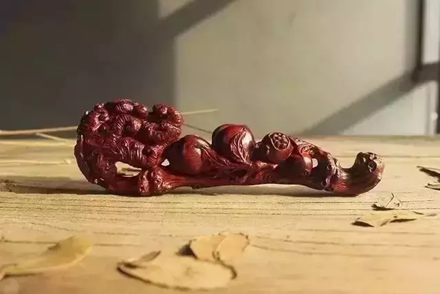 海螺摆件有什么讲究吗 海螺摆件有什么风水作用吗