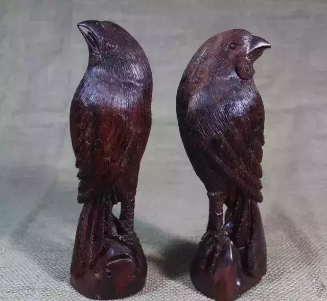 海螺摆件有什么讲究吗 海螺摆件有什么风水作用吗