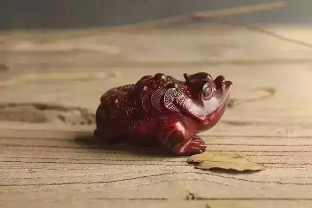 海螺摆件有什么讲究吗 海螺摆件有什么风水作用吗