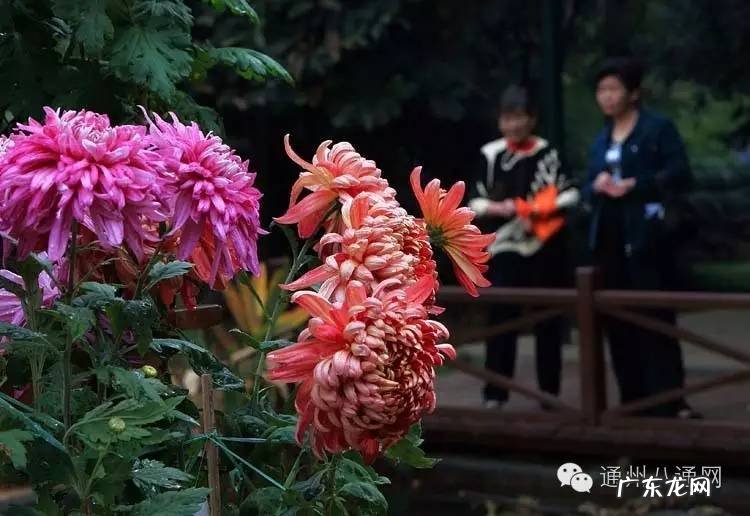 房屋风水一线天 层层风水层层天