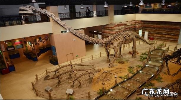 河北省会石家庄这所大学颇有来头,但是招生分数为何不高呢? 石家庄经济学院分数线2020