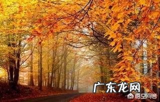 包含春夏秋冬的诗词名句有哪些?