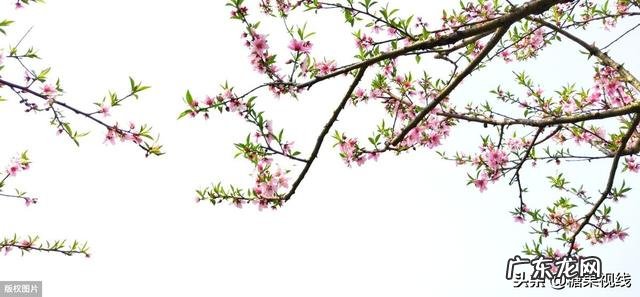 包含春夏秋冬的诗词名句有哪些?