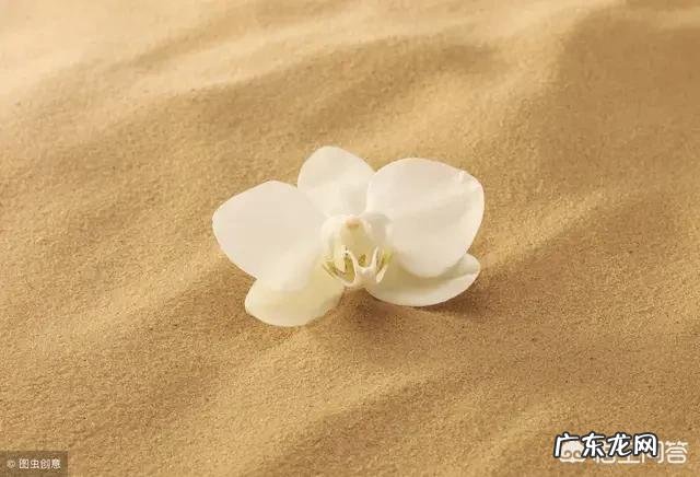 到底什么是爱,怎么才算爱,怎么做才能对得起爱?