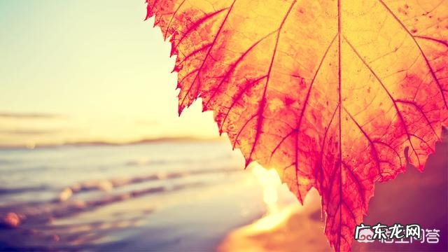 到底什么是爱，怎么才算爱，怎么做才能对得起爱？