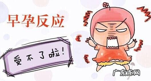 早孕反应较重需要补充那些营养？