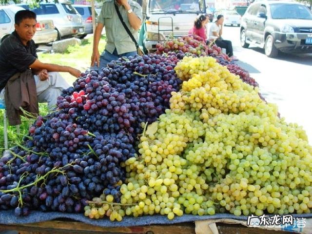 新疆哪个种类的葡萄最好吃?