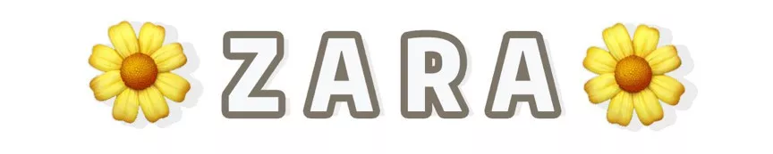 zara官网女包 zara中国官网旗舰店